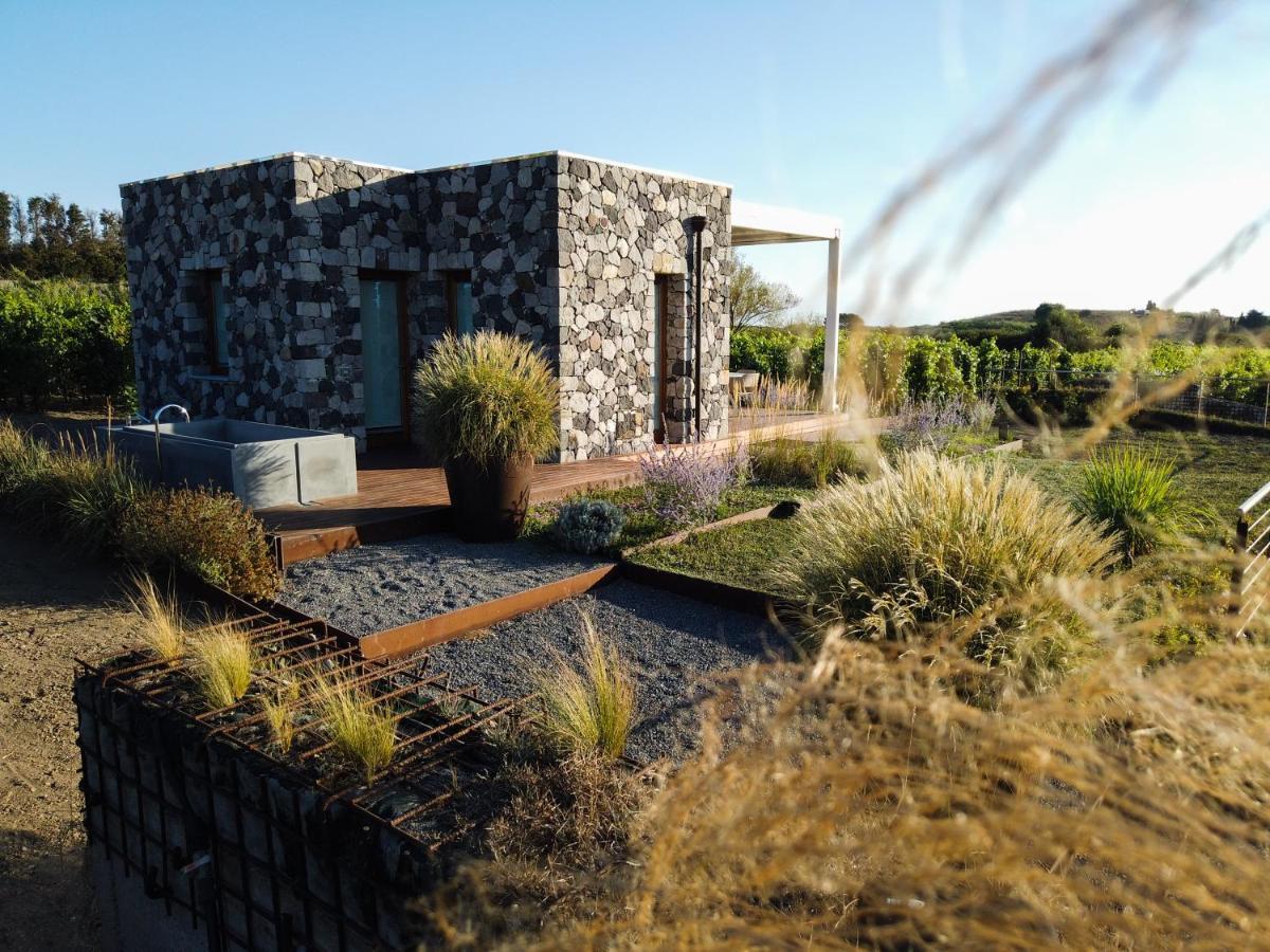 Tenuta Di Castellaro Winery & Resort Lipari  Zewnętrze zdjęcie