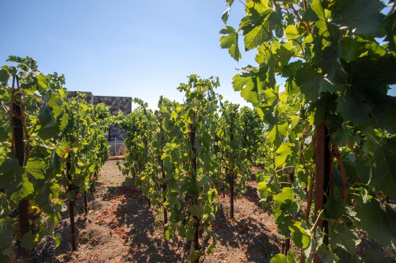 Tenuta Di Castellaro Winery & Resort Lipari  Zewnętrze zdjęcie