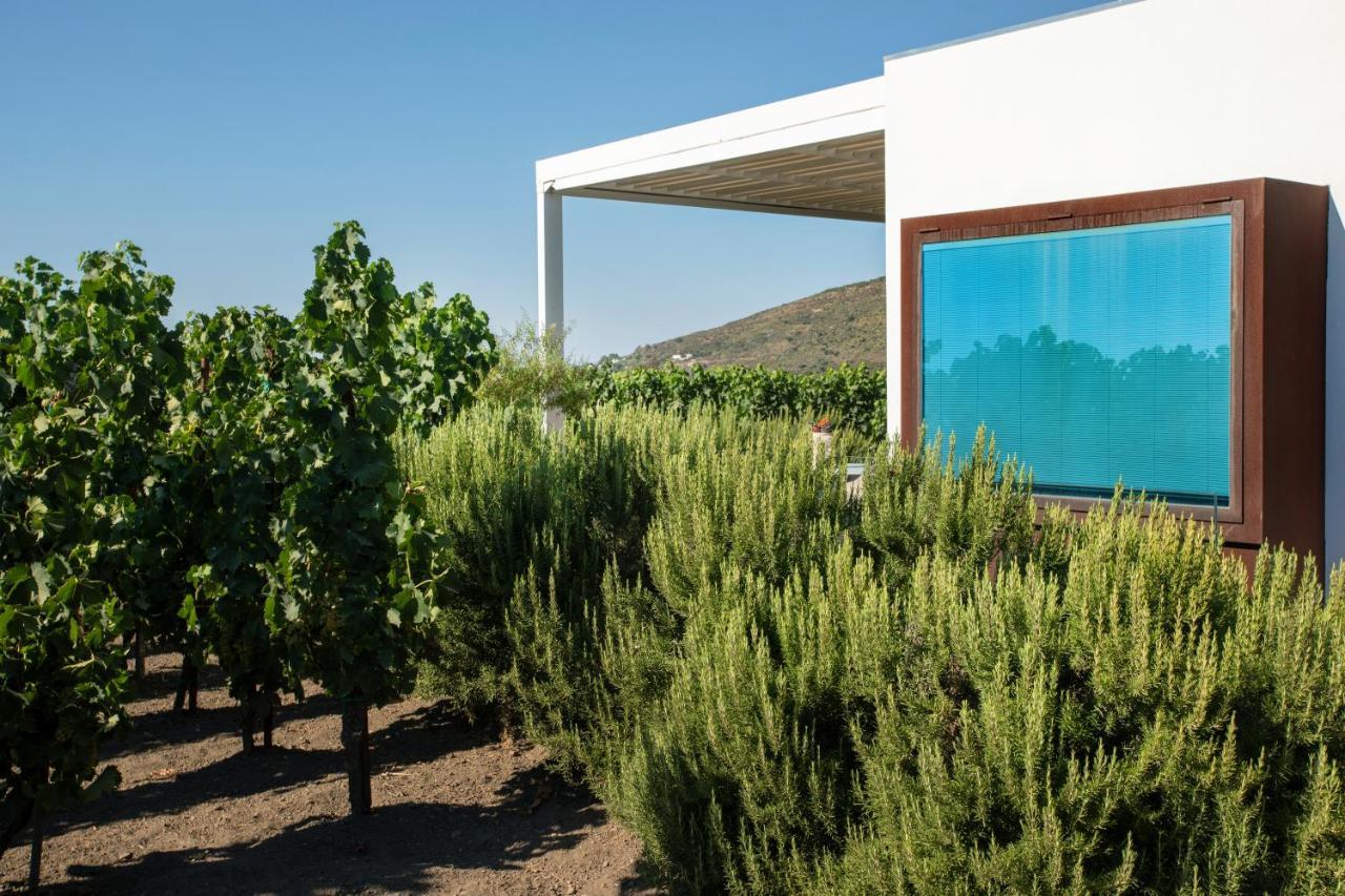Tenuta Di Castellaro Winery & Resort Lipari  Zewnętrze zdjęcie